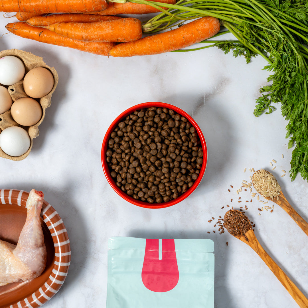 Chicken n' Rice: Mini