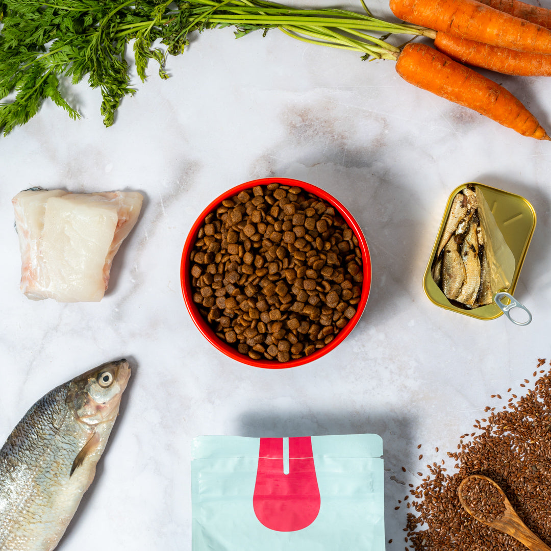 Ohh mega! Puppy & Mini