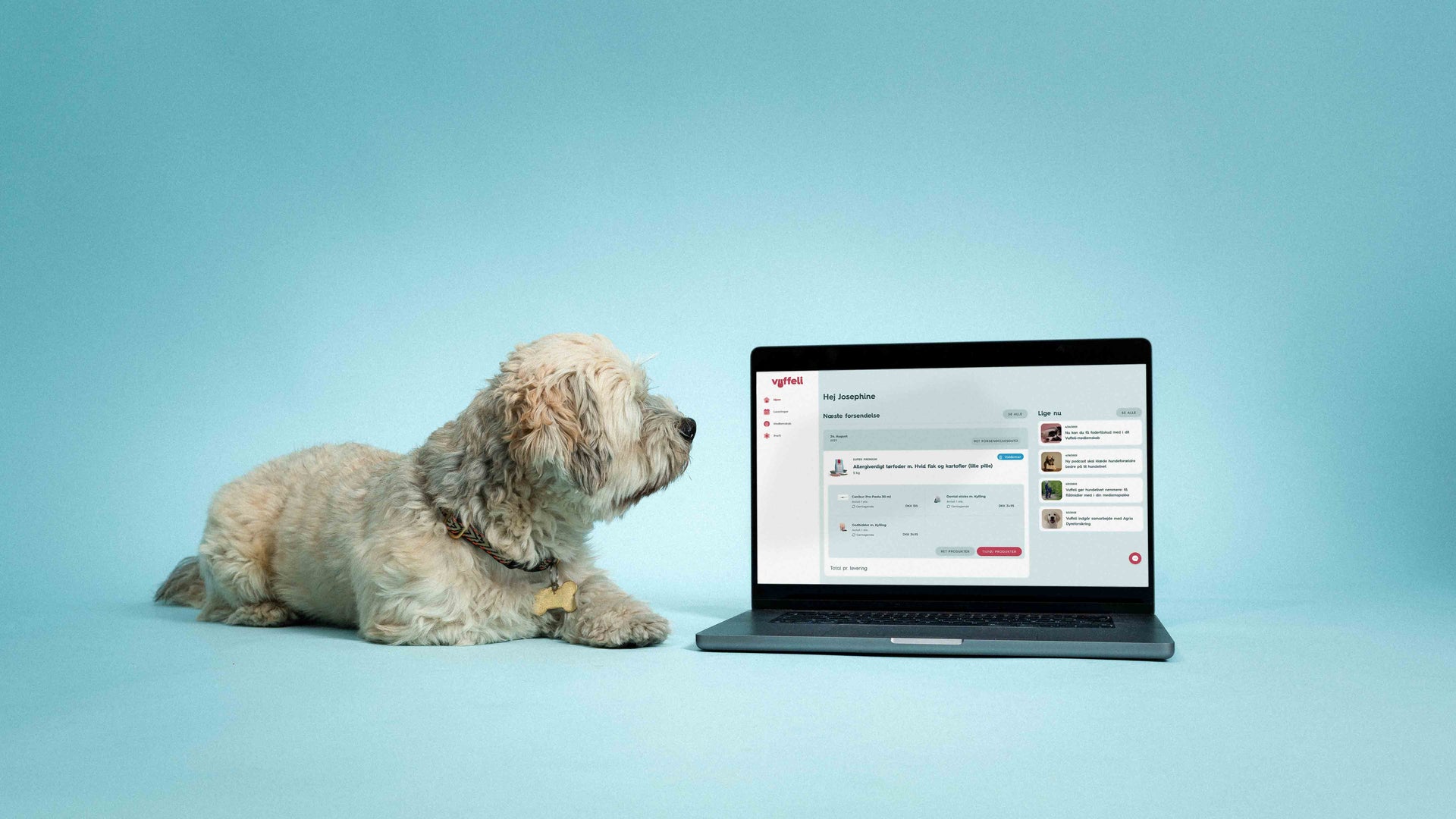Har du snuset til dit nye digitale hundehus?