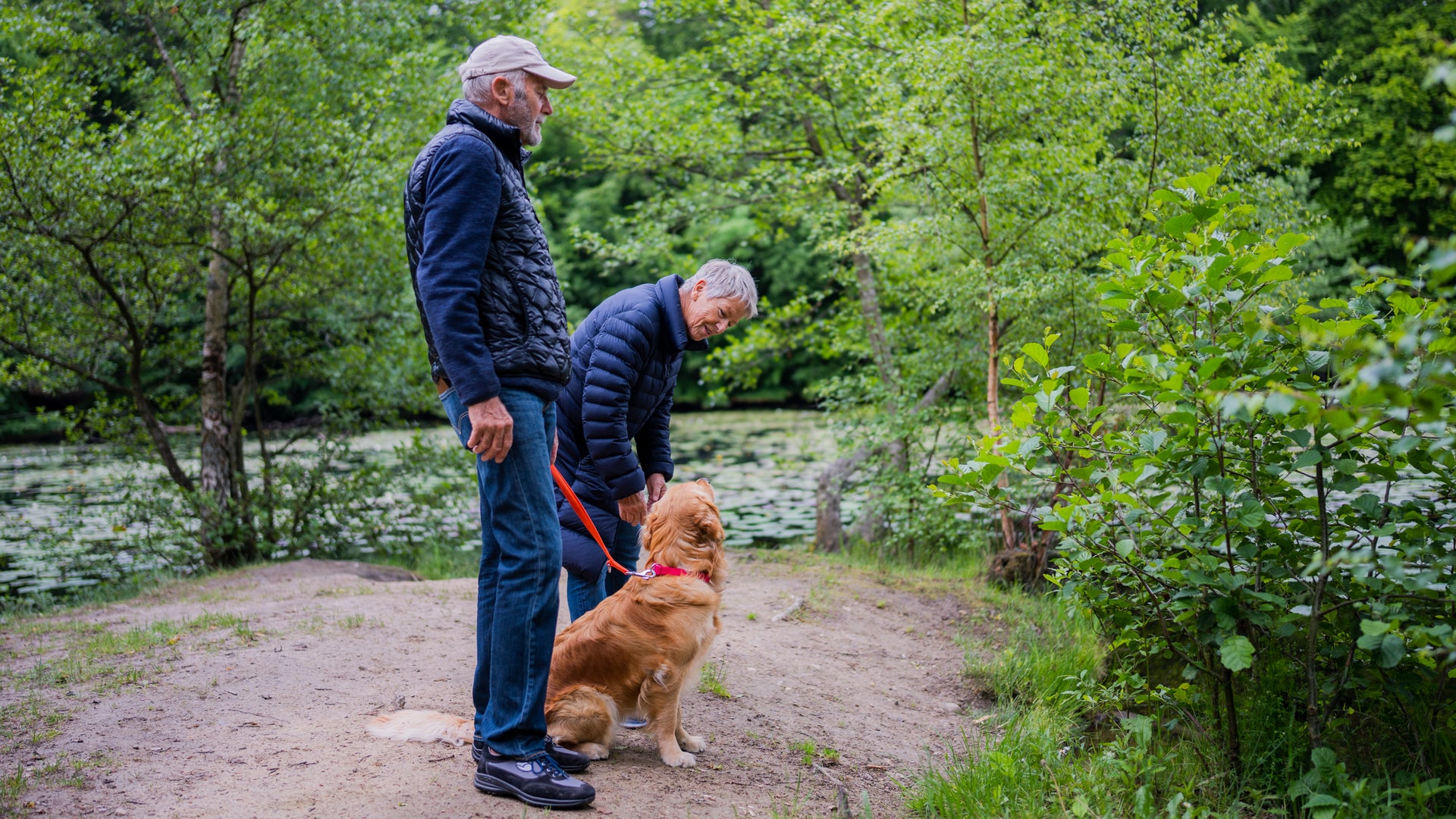 Skal din hund beskyttes mod flåter?