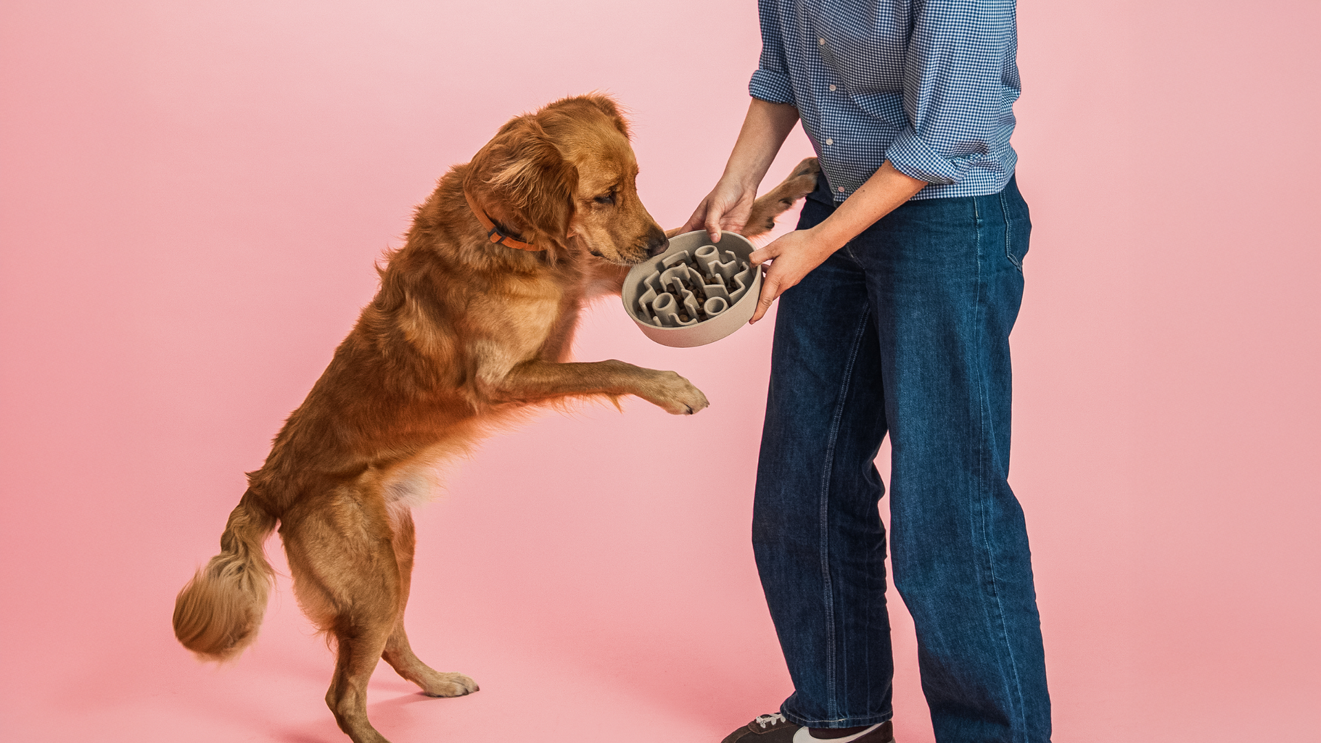Den klassiske madskål har mødt sin overmand