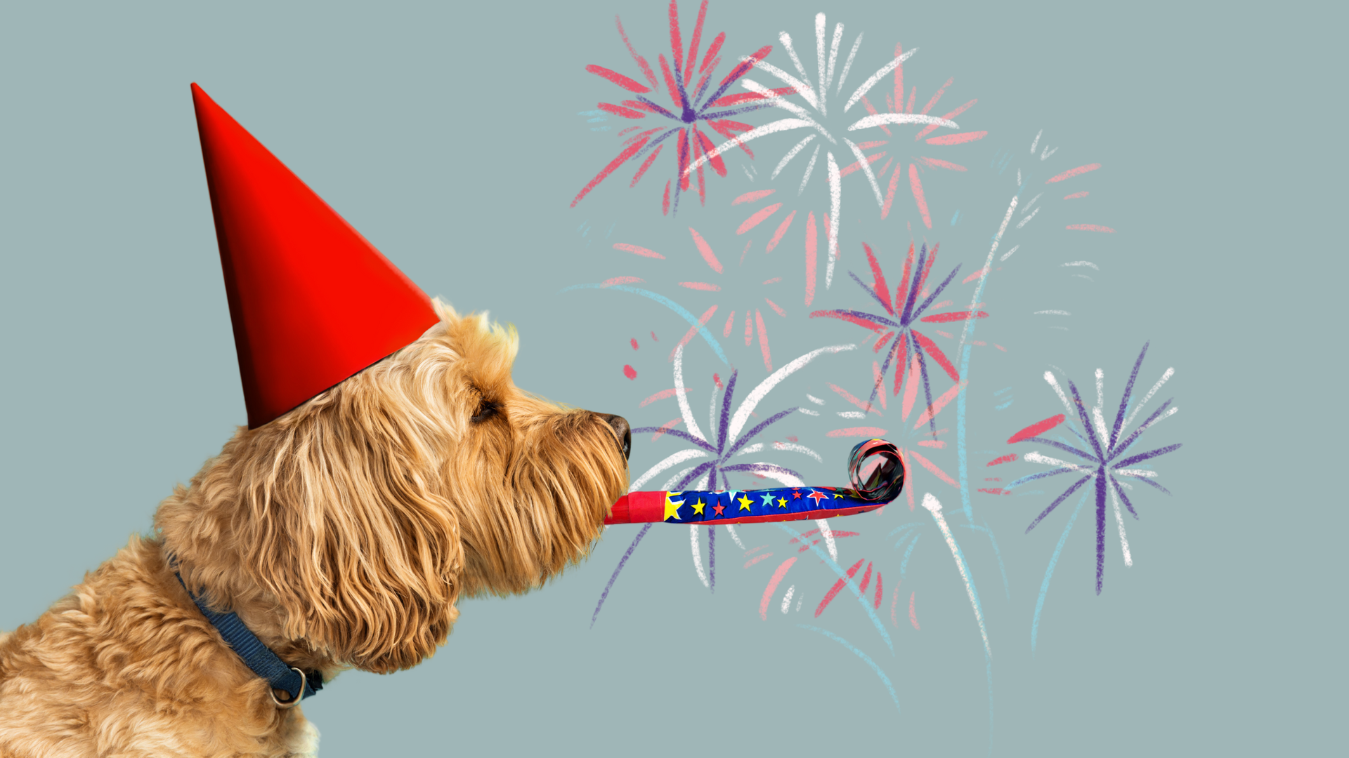 Sådan hjælper du din hund med at blive tryg ved fyrværkeri