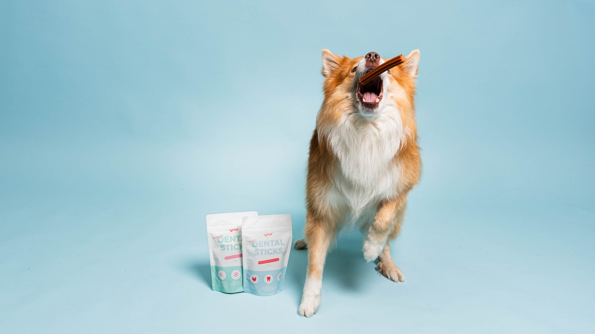Dental Sticks