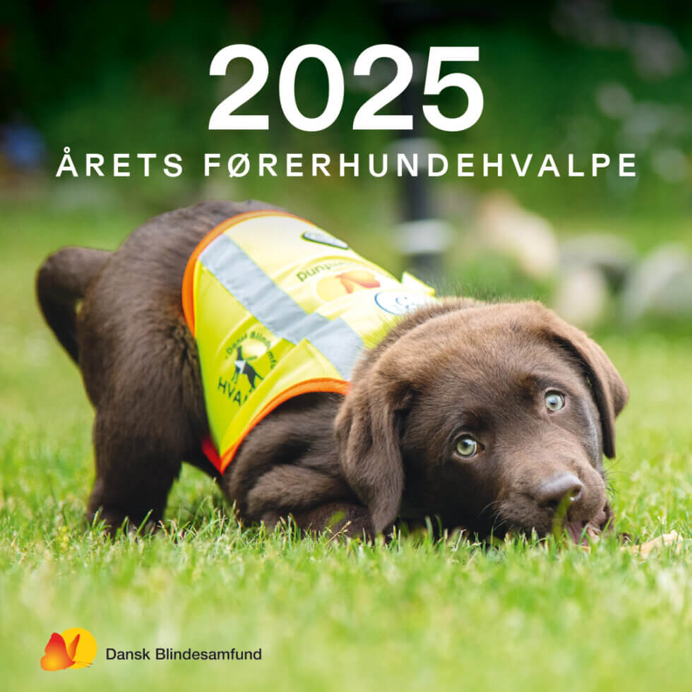 Kalender fra Dansk Blindesamfund