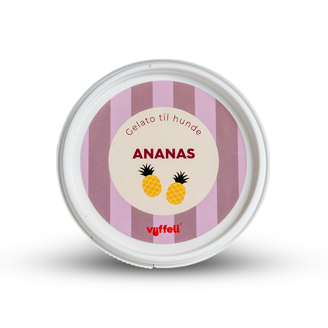 Hundeis - Gelato - Ananas