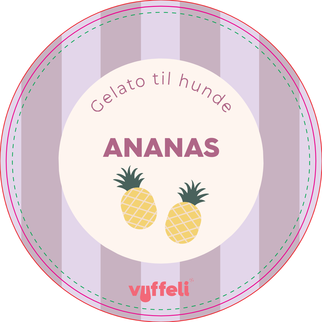 Gelato - Ananas