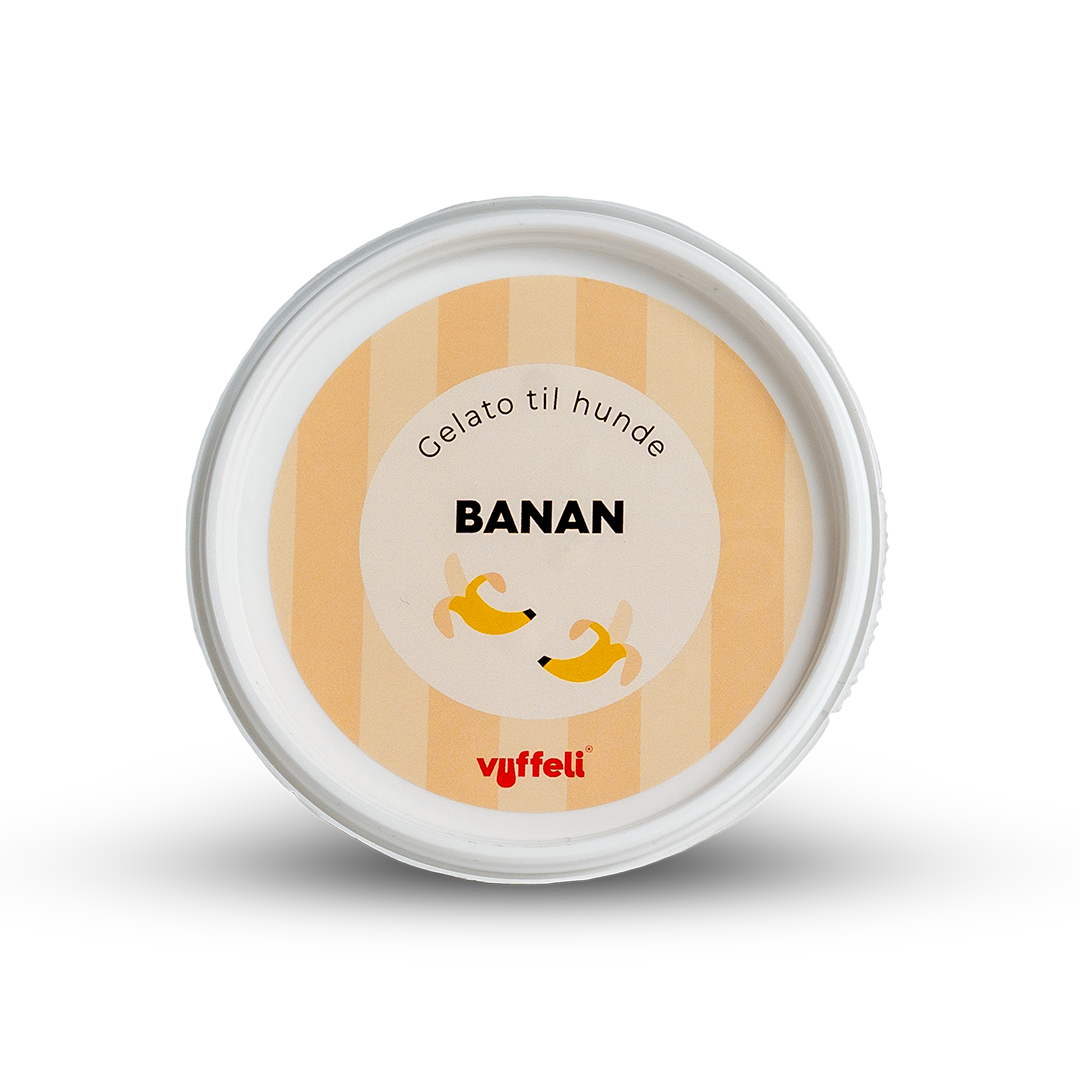 Hundeis - Gelato - Banan