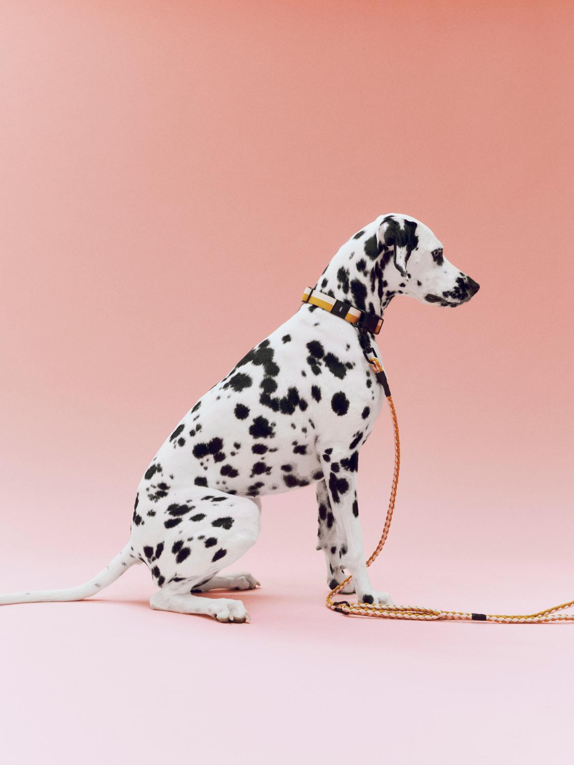 HAY Hundesnor - Okker/Hvid (Flettet)