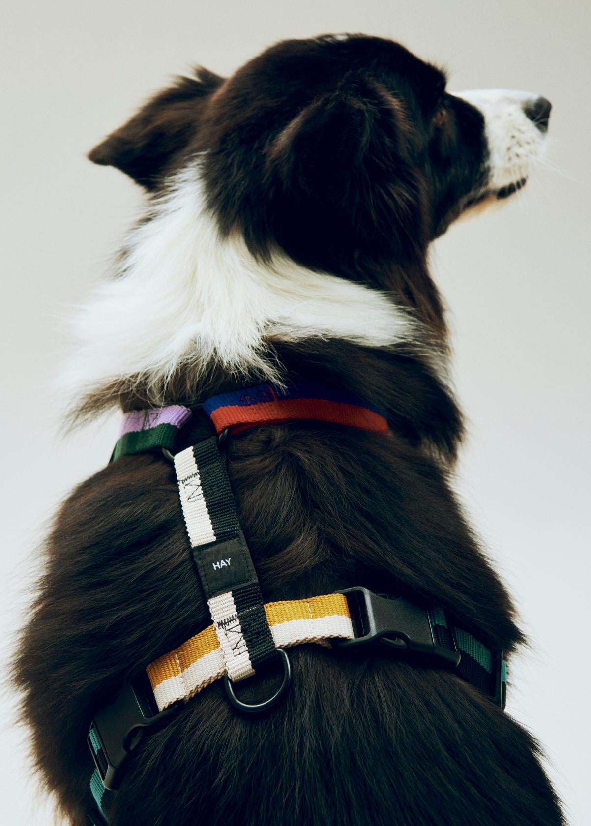 HAY Harness - Ochre/Hvid