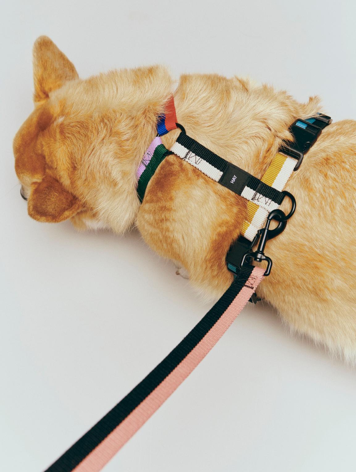 HAY Harness - Ochre/Hvid