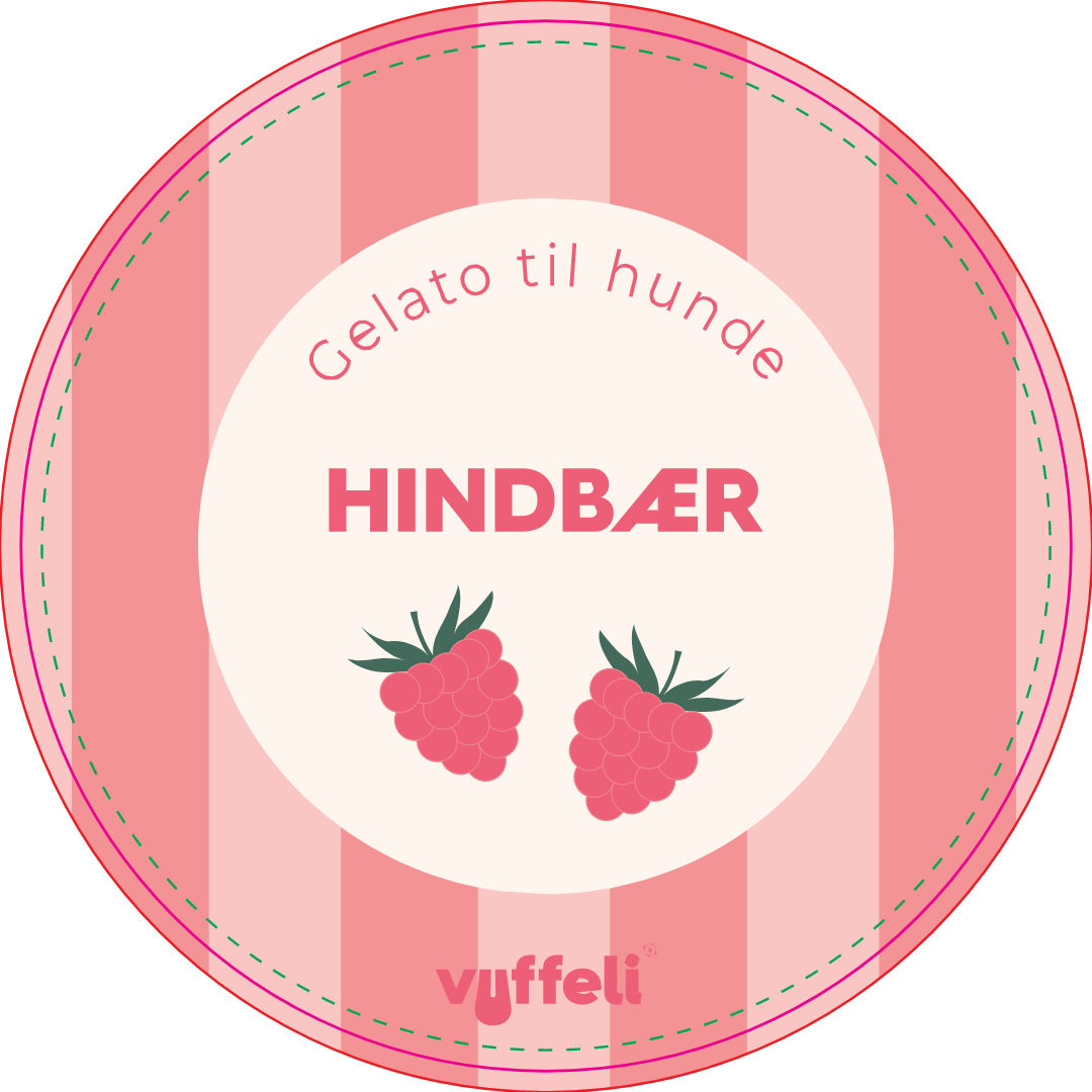 Gelato - Hindbær