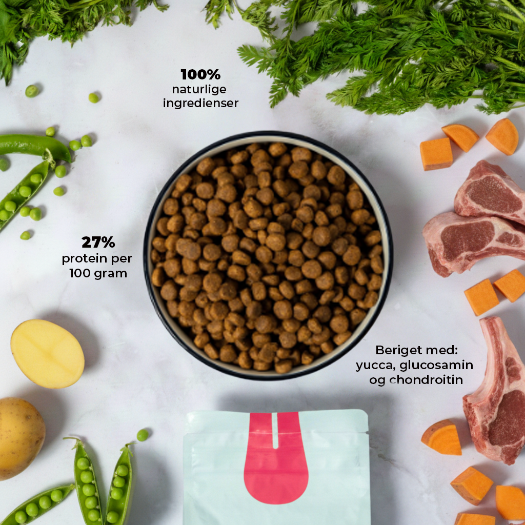 Lamb n’ Sweet Potatoes Maxi