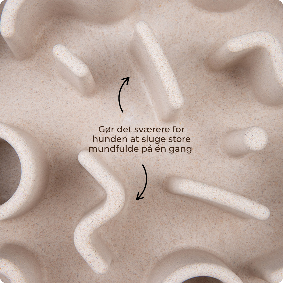 District 70 Slow Feeder