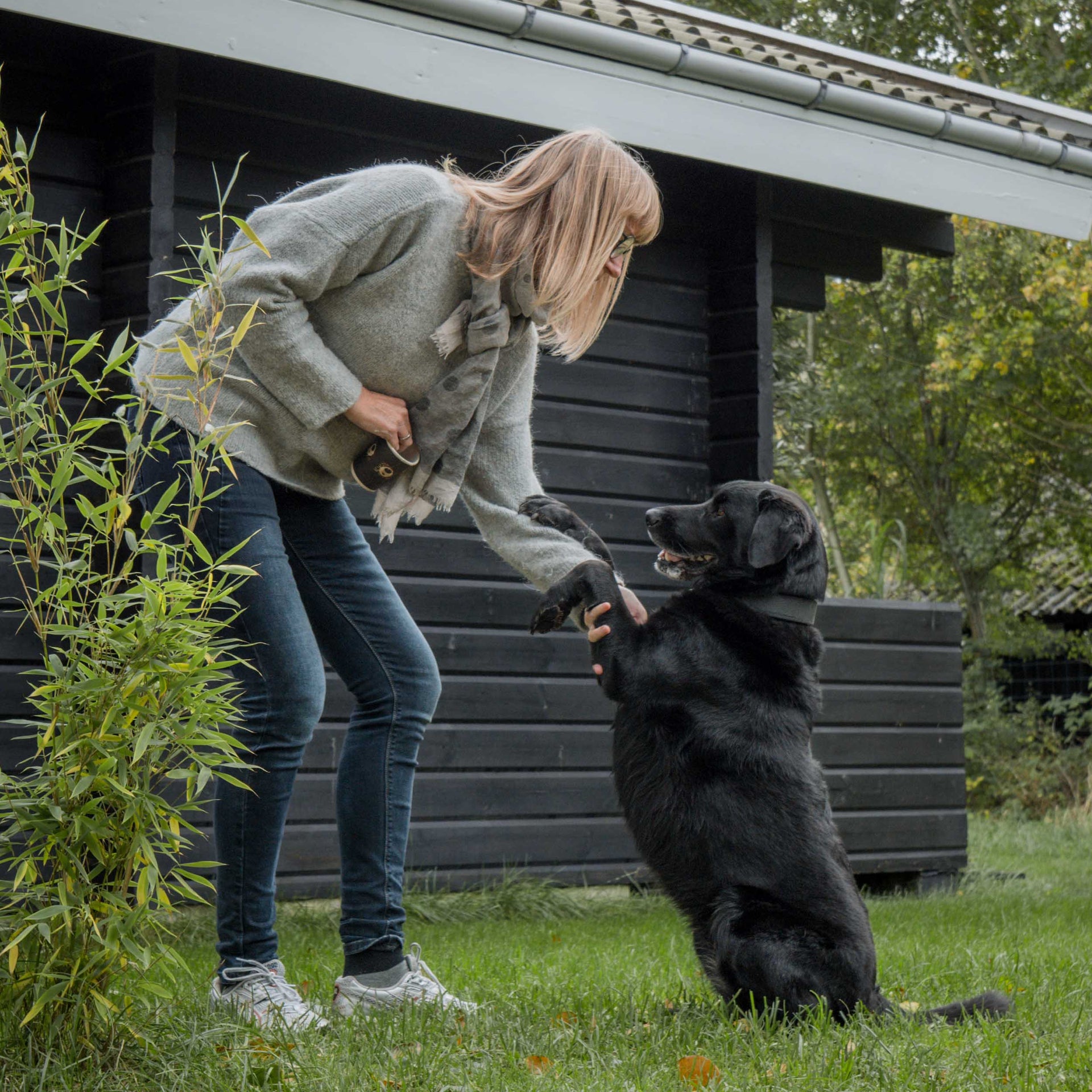 susie og hendes labrador Bella leger i haven