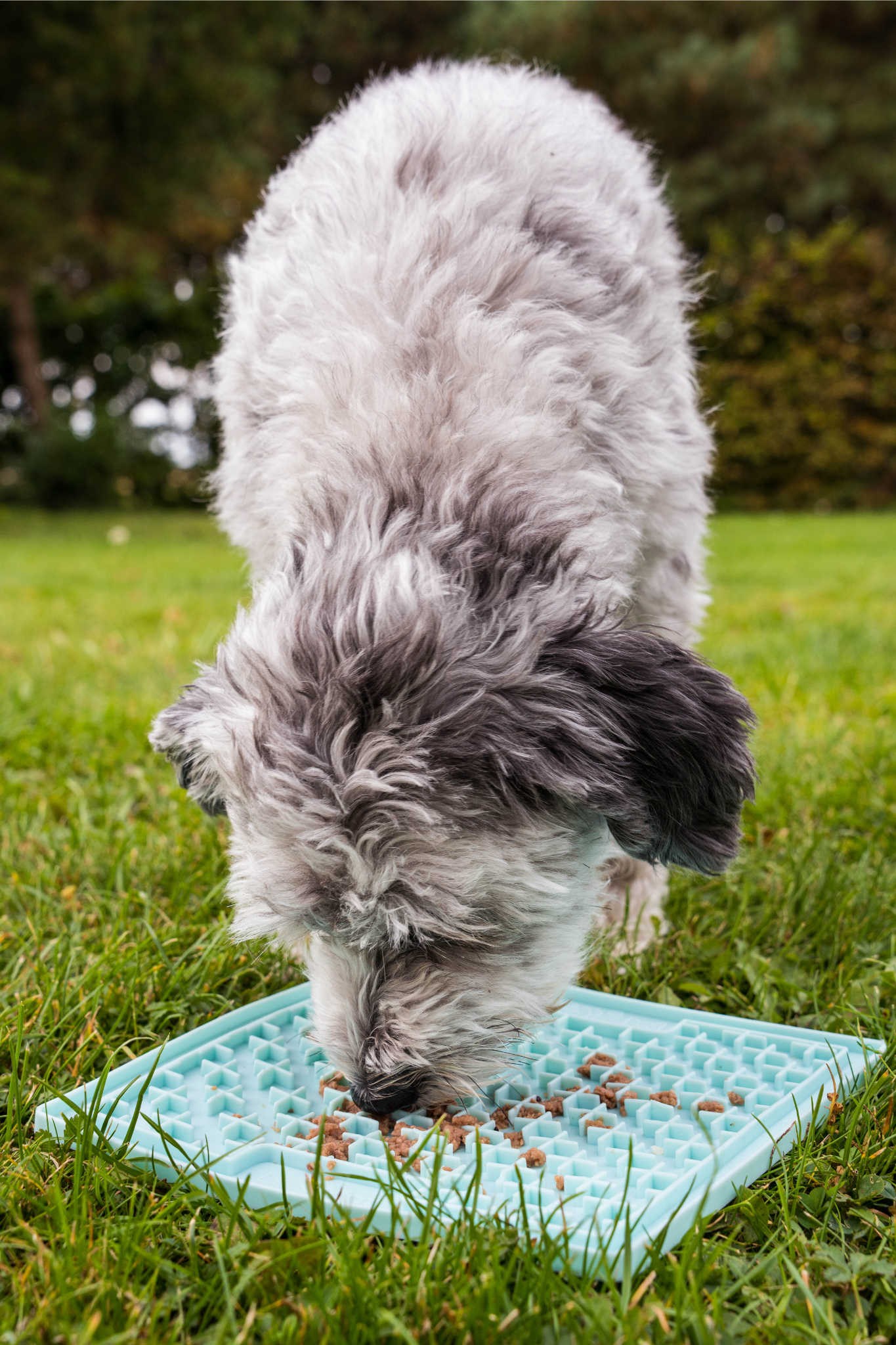 Lickimat® Classic Buddy