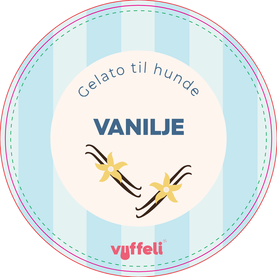 Gelato - Vanilje