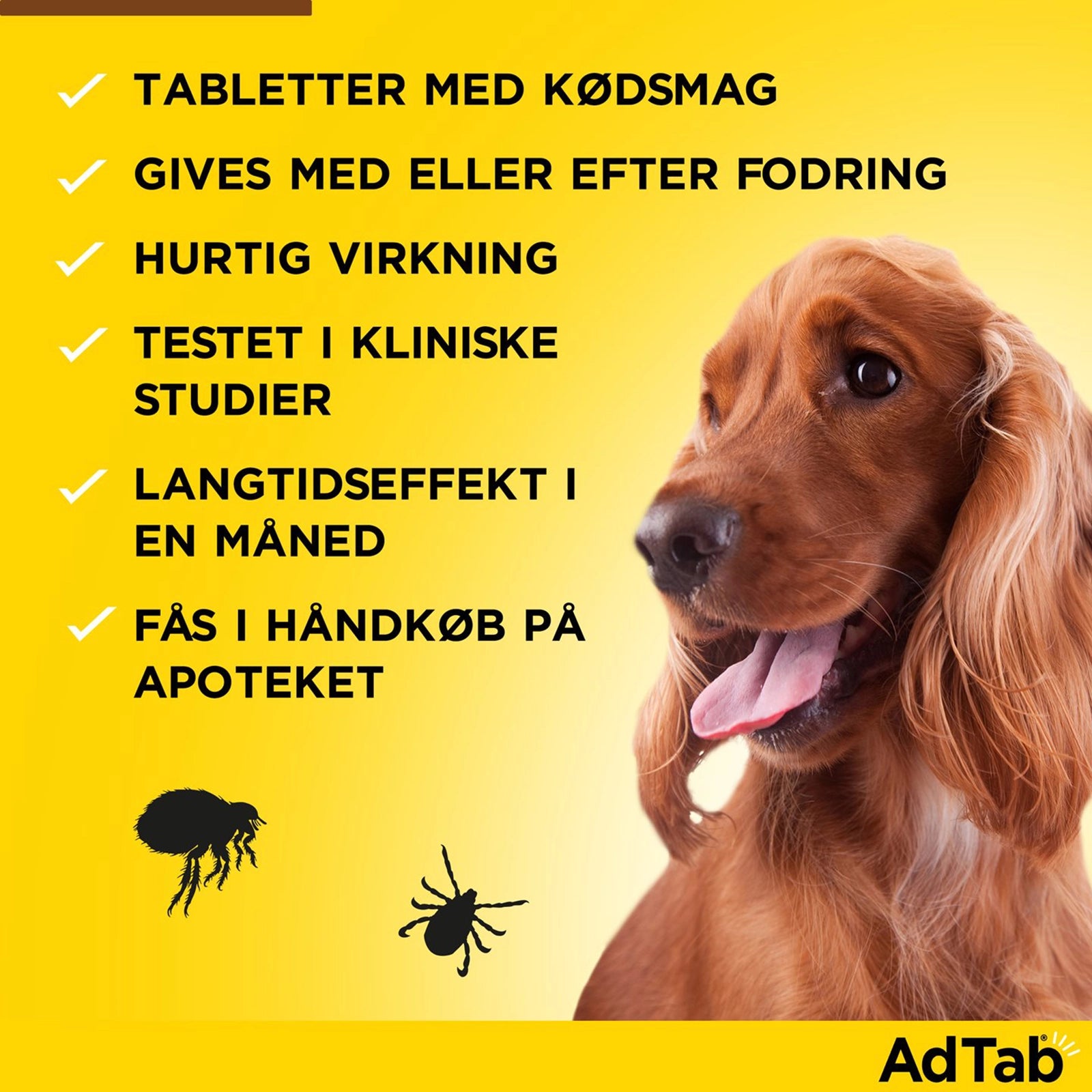AdTab tyggetabletter til små hunde 1,3-2,5 kg mod lopper og flåter