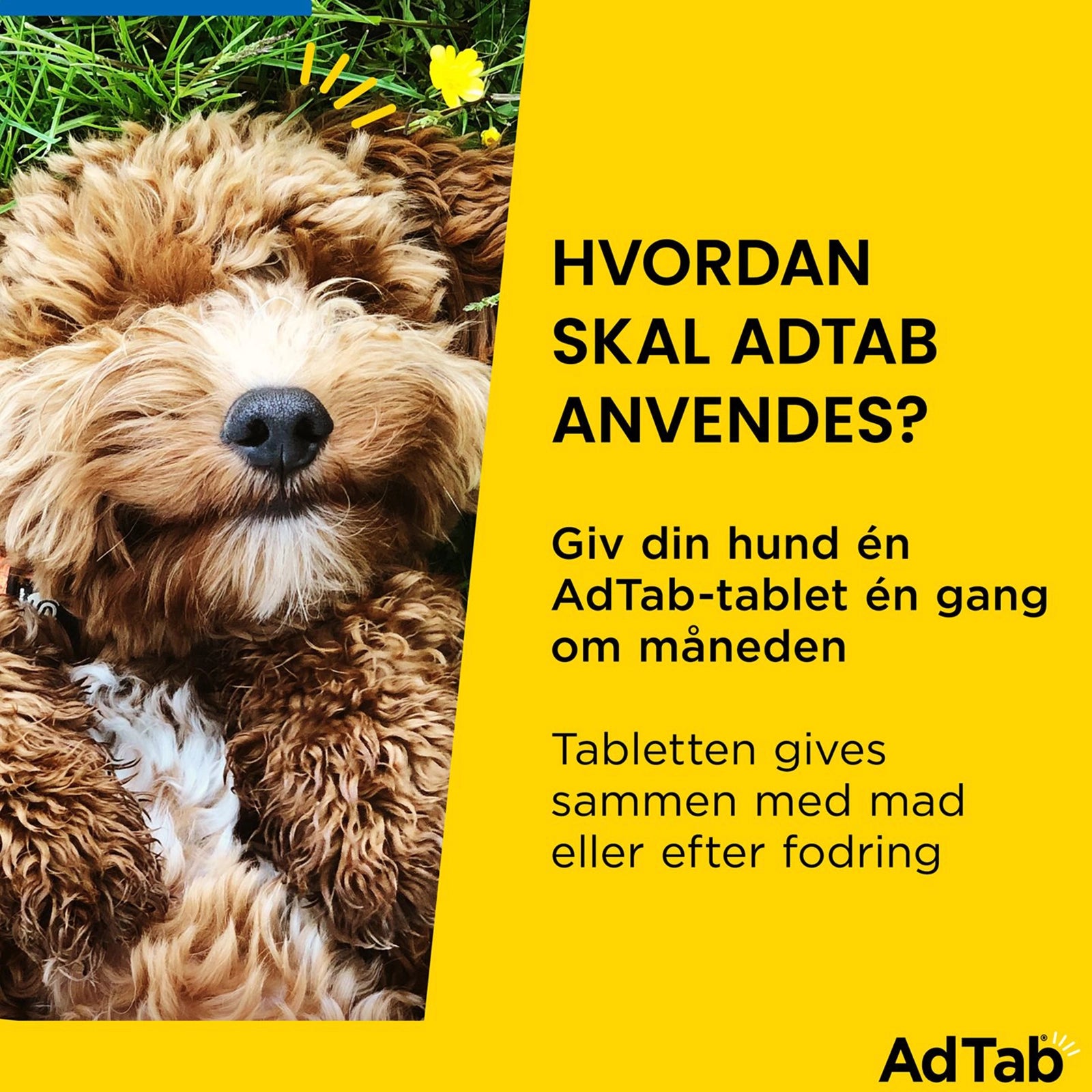 AdTab tyggetabletter til store hunde 22-45 kg mod lopper og flåter