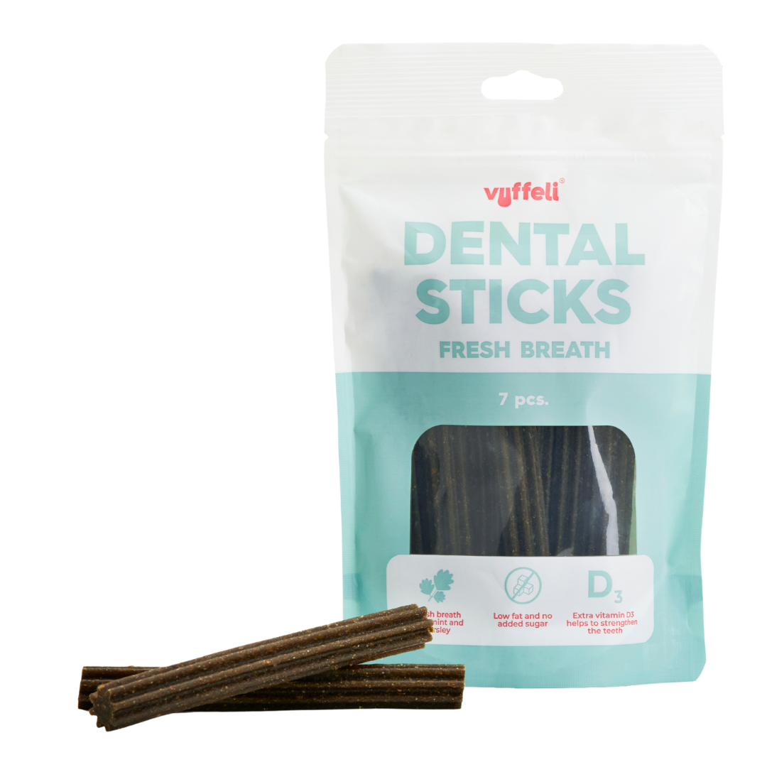 Dental Sticks - Fresh Breath