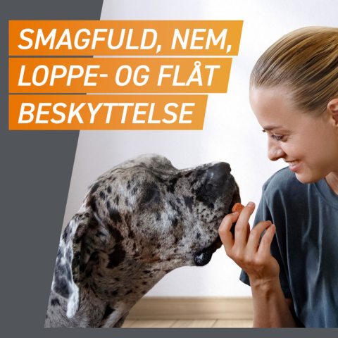 Frontpro tyggetabletter loppe- og flåtmiddel til hund >25-50 kg (3 stk)