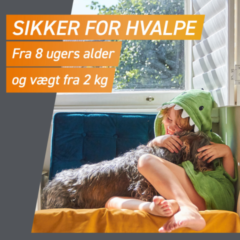 Frontpro tyggetabletter loppe- og flåtmiddel til hund >25-50 kg (3 stk)