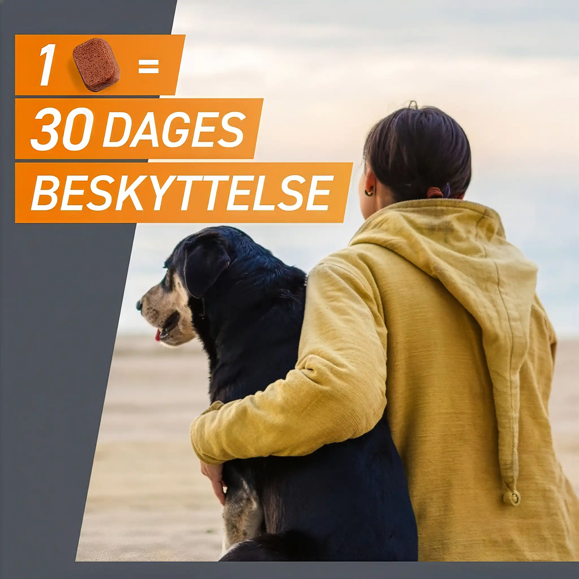 Frontpro tyggetabletter loppe- og flåtmiddel til hund 2-4 kg (3 stk)