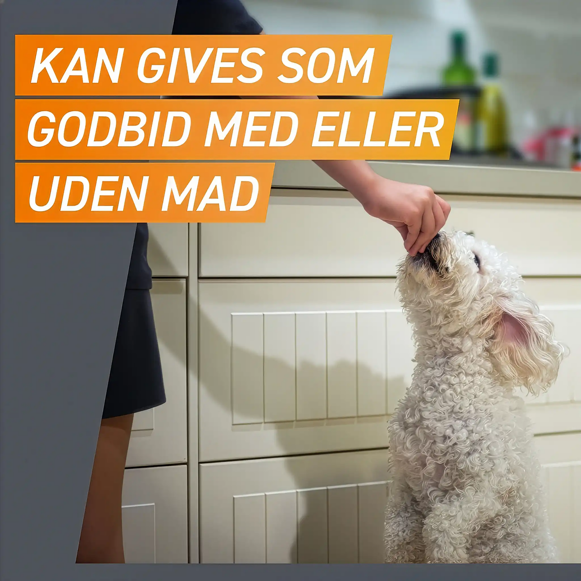 Frontpro tyggetabletter loppe- og flåtmiddel til hund 2-4 kg (3 stk)