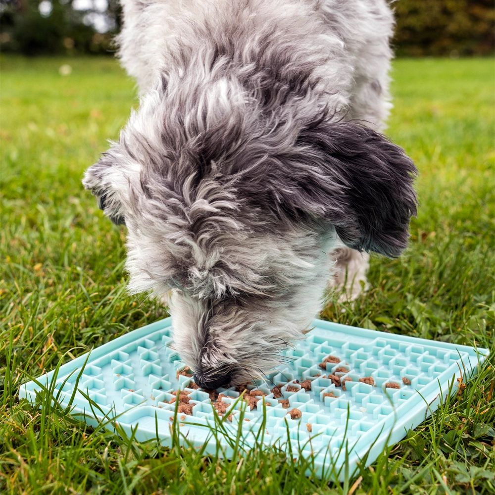 LickiMat® Classic Buddy™ + 2 x vådfoder