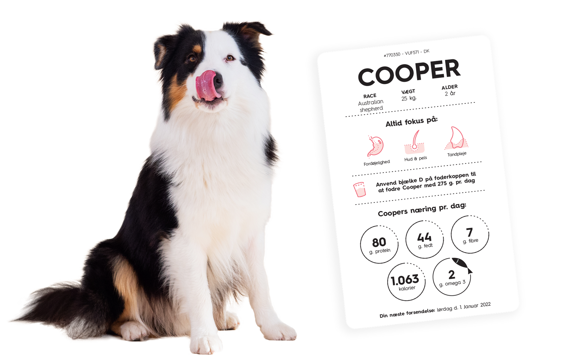 hund slikker sig om munden ved siden af skræddersyet foderplan