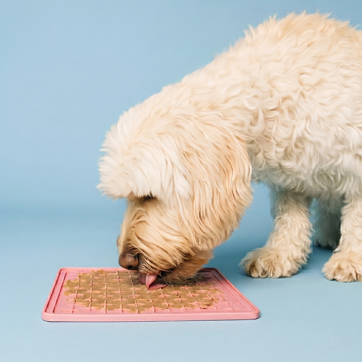 Vådfoder til voksne hunde, 300 g (12 stk)